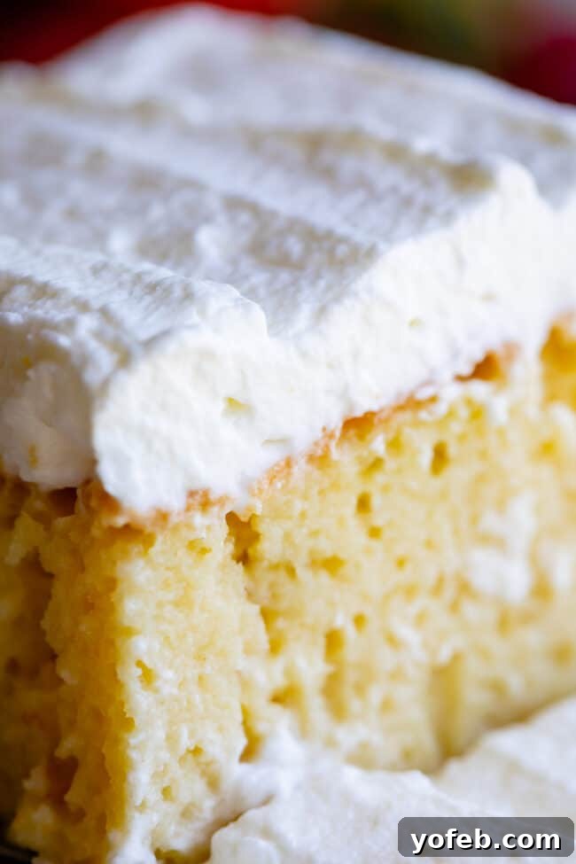 Ultimate Tres Leches Perfection 9 tres leches cake shot from close up.