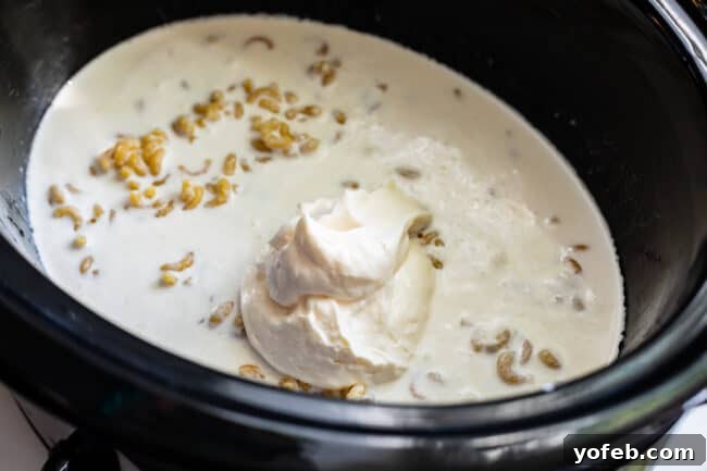 A dollop of mayonnaise resting atop the milk and dry elbow noodles in the slow cooker, ready to be stirred in.