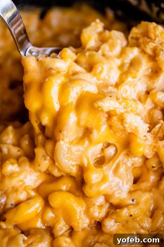 A serving spoon lifts a generous portion of the best slow cooker mac and cheese, showcasing its gooey, cheesy texture.