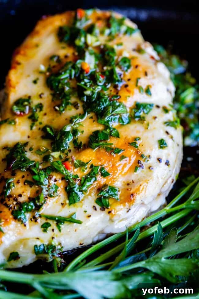 Grilled Chicken with Chimichurri - A delicious and healthy meal enhanced by fresh, zesty sauce. A perfectly grilled piece of chicken, beautifully topped with a generous spoon of vibrant chimichurri sauce, highlighting the fresh herbs and rich color.