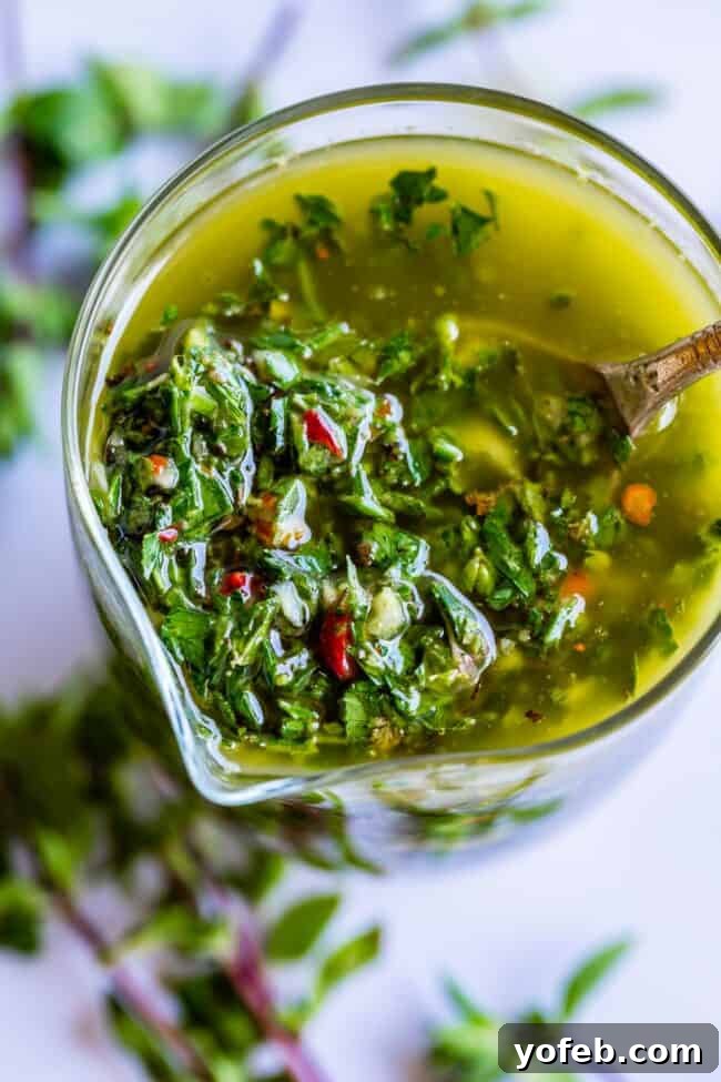 Homemade Chimichurri Sauce - The perfect balance of herbs, garlic, oil, and vinegar. A spoon dipping into a bowl of chimichurri sauce, showcasing its chunky texture with visible parsley and garlic.