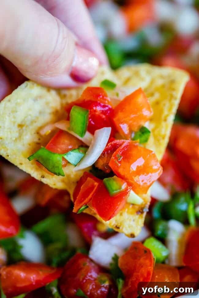 How to Make Authentic Pico de Gallo from The Food Charlatan. Learn how to make the best Pico de Gallo! It's a very simple Mexican salsa with tomatoes, onions, jalapeno, cilantro, and lime juice. Humble ingredients come together to make one of the best appetizers of all time! You will never look at tacos the same after topping them with this magical stuff. #picodegallo #salsa #Mexican #cold #fresh #appetizer #dip #forparties #easy #recipe #receta #authentic #best #homemade #restaurant #picodegalo pico de gallo on a tortilla chip. A single tortilla chip holds a colorful dollop of fresh pico de gallo, highlighting its chunky texture and vibrant ingredients.