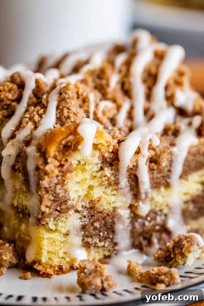 Sour Cream Coffee Cake, with a Ridiculous Amount of Streusel from The Food Charlatan. This is my FAVORITE recipe for Sour Cream Coffee Cake! My main complaint with Coffee Cake is that there is usually too much cake, not enough streusel. This recipe gives you the max amount of streusel without ruining the light fluffiness of the cake! A vanilla drizzle finishes it off! #coffeecake #sourcream #icing #frosting #drizzle #easy #recipes #cinnamon #streusel #sourcream #crumb #crumble #moist #breakfast Cinnamon streusel coffee cake with vanilla glaze shot up close.