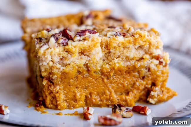 A perfect slice of Pumpkin Dump Cake, displaying its two delicious layers on a white plate. A single, inviting slice of pumpkin dump cake served on a pristine white plate, showcasing its delightful layers.