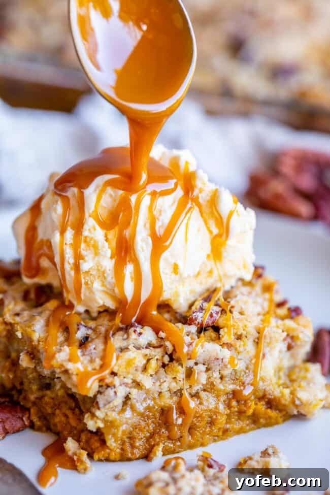 Pumpkin Pecan Dump Cake: Served with a generous scoop of ice cream and a decadent caramel drizzle. A scoop of creamy vanilla ice cream sits atop a slice of pumpkin pecan cake, with luscious caramel sauce drizzled over.