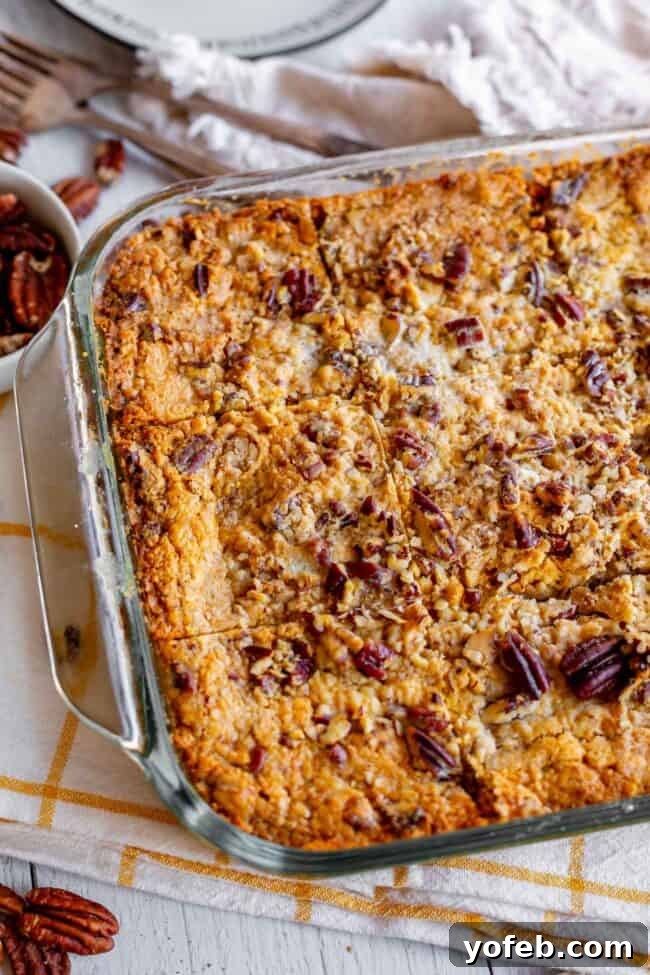 Freshly Baked Pumpkin Dump Cake: A golden, bubbling dessert ready to be enjoyed straight from the oven. A freshly baked 9x13 inch pan of easy pumpkin dump cake recipe, golden and inviting.