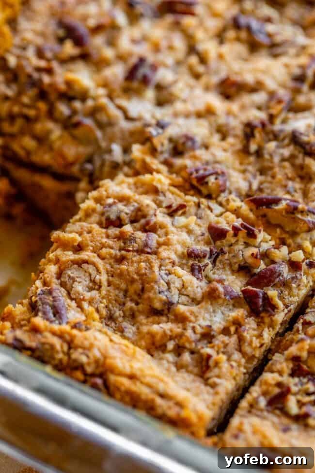 Baked Pumpkin Dump Cake: A tempting overhead view of slices ready to be enjoyed. An overhead shot of a perfectly baked and sliced pumpkin dump cake, ready to serve.
