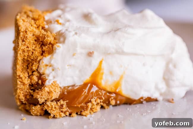 A slice of creamy dulce de leche pie on a white plate, garnished with a light dusting of cocoa powder or cinnamon, showcasing a rich, indulgent dessert.