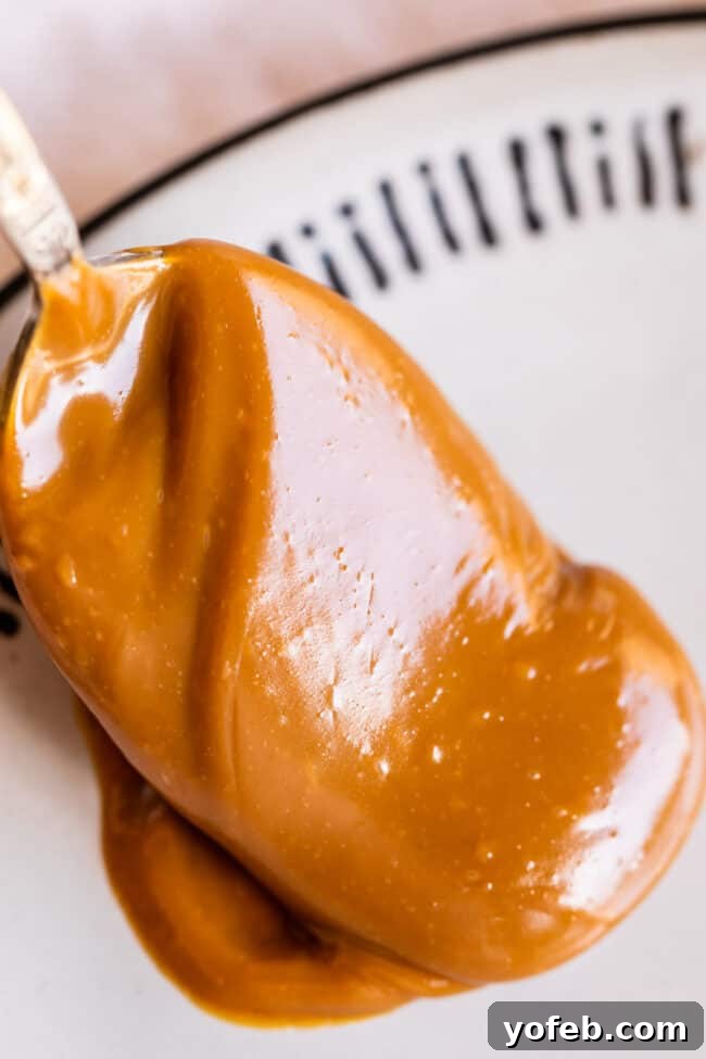 A close-up of a spoon holding a generous dollop of thick, glossy dulce de leche, showcasing its luscious texture.