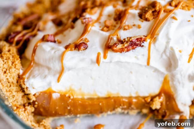 Dulce de Leche Desserts: A Culinary Delight Various forms of Dulce de Leche, including jars and freshly made, highlighting its rich, thick caramel-like consistency, ideal for dessert recipes.