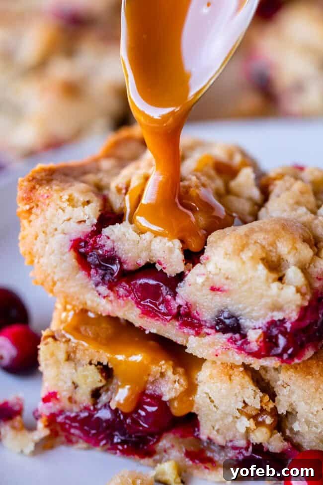 Festive Cranberry Shortbread Bars for Holiday Gatherings Perfectly baked Cranberry Shortbread Bars, cut and ready to serve
