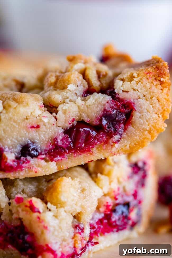 Easy Cranberry Shortbread Bars for Festive Occasions Cranberry Shortbread Bars recipe photo, showing golden crust