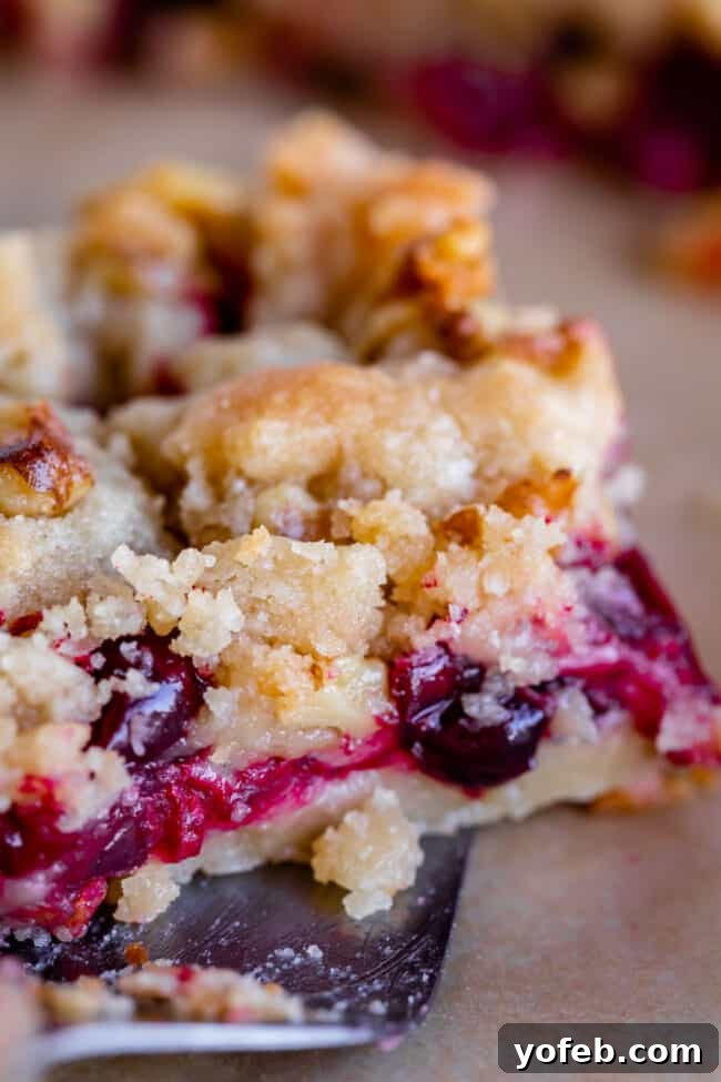 Homemade Cranberry Crumble Bars for Christmas Dessert Close-up of Cranberry Crumble Bars with flaky topping