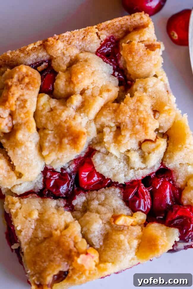 Simple and Delicious Shortbread Bars with Cranberries Buttery Shortbread Bars with a bright cranberry layer
