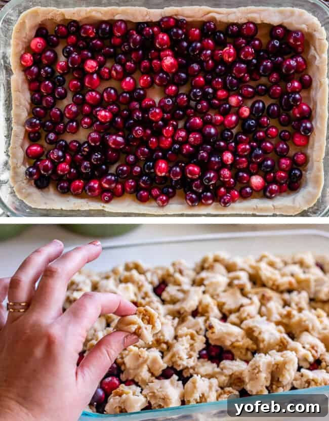 Fresh Cranberries on Shortbread Base for Baking Preparing Cranberry Bars: Adding fresh cranberries to the shortbread base