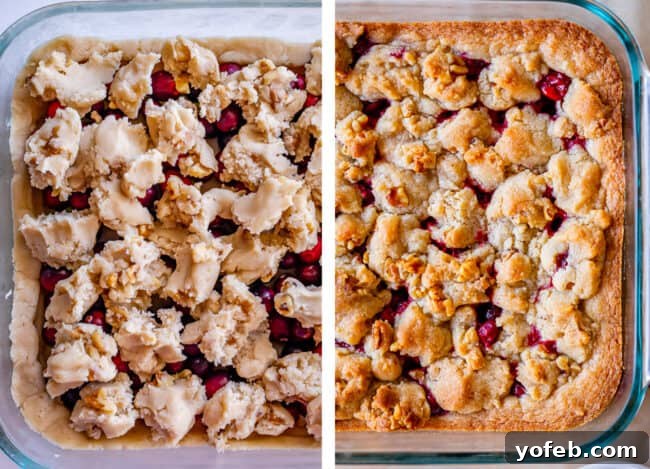 Crumble Topping on Cranberry Shortbread Bars Cranberry Crumble Bars before baking, with dough chunks on top