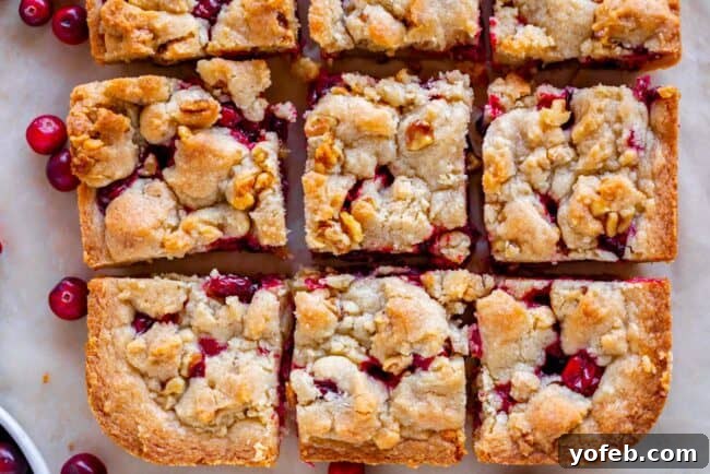Close up of shortbread bars with cranberry and crumble topping