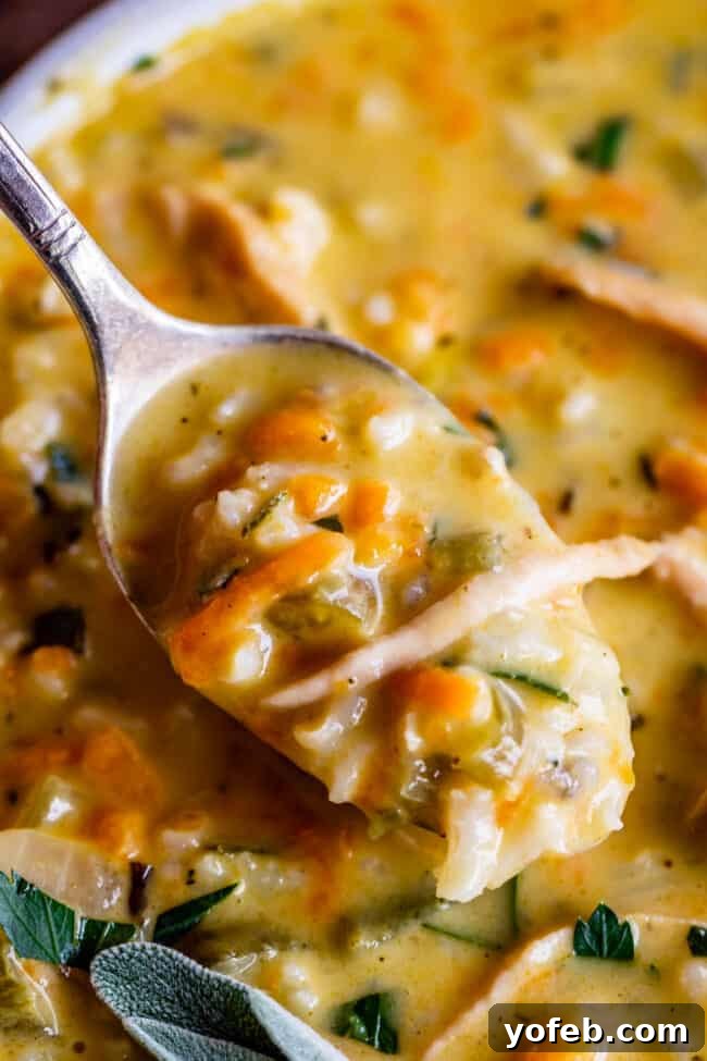 Creamy Turkey Wild Rice Soup with succulent turkey pieces - a hearty and healthy meal. A close-up of a spoonful of Creamy Turkey Wild Rice Soup, showcasing tender pieces of turkey meat, fluffy wild rice, and shredded carrots in a rich, creamy broth.