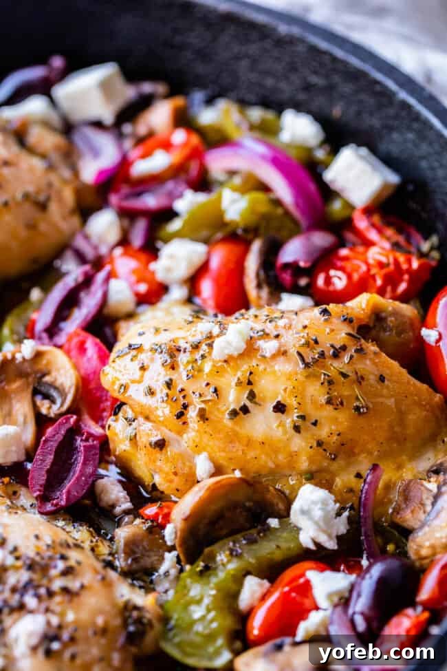 One-Pan Zesty Greek Chicken and Roasted Vegetables 10 A close-up of a rustic cast iron skillet filled with beautifully baked Greek chicken thighs and colorful vegetables, highlighting the texture and richness of the dish.