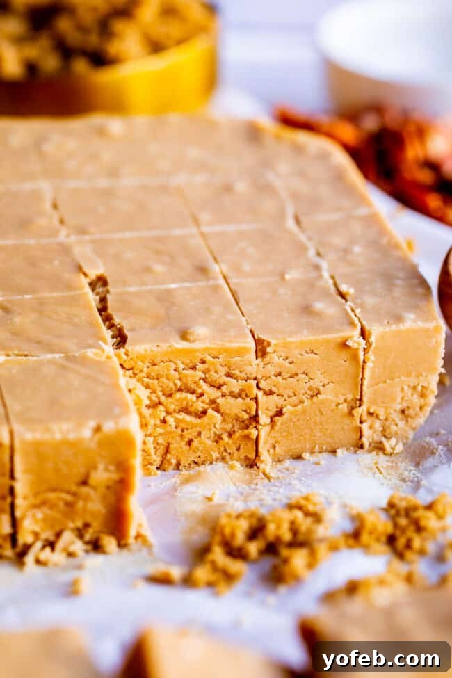 Easy Penuche Fudge Recipe (Brown Sugar Fudge) from The Food Charlatan. An easy recipe for Penuche Fudge! It only takes a few minutes to put together this easy brown sugar fudge. It's similar to my favorite Chocolate Fudge recipe, but instead uses brown sugar and white chocolate. The texture of this fudge is where it's at! #oldfashioned #penuche #fudge #whitechocolate #brownsugar #candy #Christmas #holidays #praline #Easy #recipe #best #withmarshmallowfluff #withevaporatedmilk #pecans #creamy Neatly cut squares of rich Penuche Fudge are arranged on a clean, light-colored surface, showcasing their smooth, creamy texture and consistent golden-brown hue.