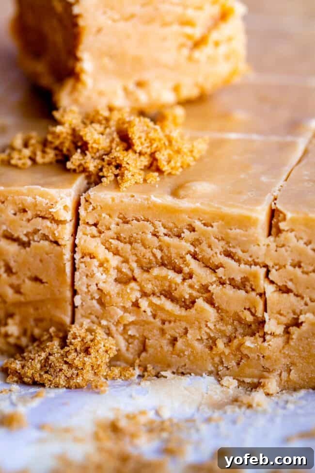 Easy Penuche Fudge Recipe (Brown Sugar Fudge) from The Food Charlatan. An easy recipe for Penuche Fudge! It only takes a few minutes to put together this easy brown sugar fudge. It's similar to my favorite Chocolate Fudge recipe, but instead uses brown sugar and white chocolate. The texture of this fudge is where it's at! #oldfashioned #penuche #fudge #whitechocolate #brownsugar #candy #Christmas #holidays #praline #Easy #recipe #best #withmarshmallowfluff #withevaporatedmilk #pecans #creamy Perfectly portioned squares of Penuche Fudge are artfully arranged, highlighting their uniform shape and inviting, smooth surface.