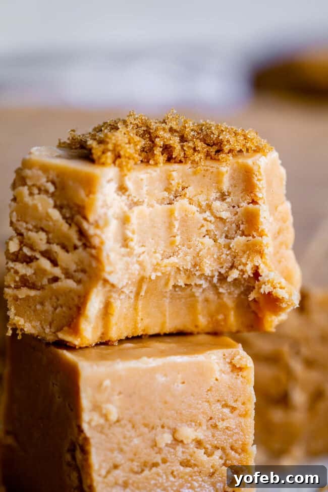 Easy Penuche Fudge Recipe (Brown Sugar Fudge) from The Food Charlatan. An easy recipe for Penuche Fudge! It only takes a few minutes to put together this easy brown sugar fudge. It's similar to my favorite Chocolate Fudge recipe, but instead uses brown sugar and white chocolate. The texture of this fudge is where it's at! #oldfashioned #penuche #fudge #whitechocolate #brownsugar #candy #Christmas #holidays #praline #Easy #recipe #best #withmarshmallowfluff #withevaporatedmilk #pecans #creamy A delicious piece of Penuche Fudge with a bite taken out, revealing its soft, creamy interior, topped with a delicate dusting of brown sugar.