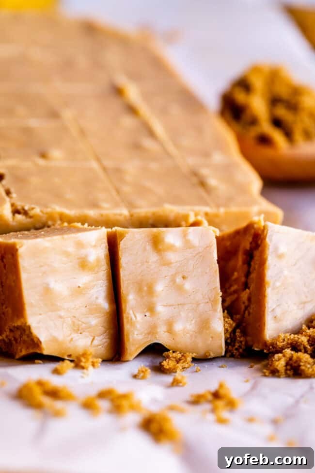 Easy Penuche Fudge Recipe (Brown Sugar Fudge) from The Food Charlatan. An easy recipe for Penuche Fudge! It only takes a few minutes to put together this easy brown sugar fudge. It's similar to my favorite Chocolate Fudge recipe, but instead uses brown sugar and white chocolate. The texture of this fudge is where it's at! #oldfashioned #penuche #fudge #whitechocolate #brownsugar #candy #Christmas #holidays #praline #Easy #recipe #best #withmarshmallowfluff #withevaporatedmilk #pecans #creamy Perfectly cut squares of creamy Penuche Fudge are artfully arranged, highlighting their smooth surface and inviting golden-brown color.