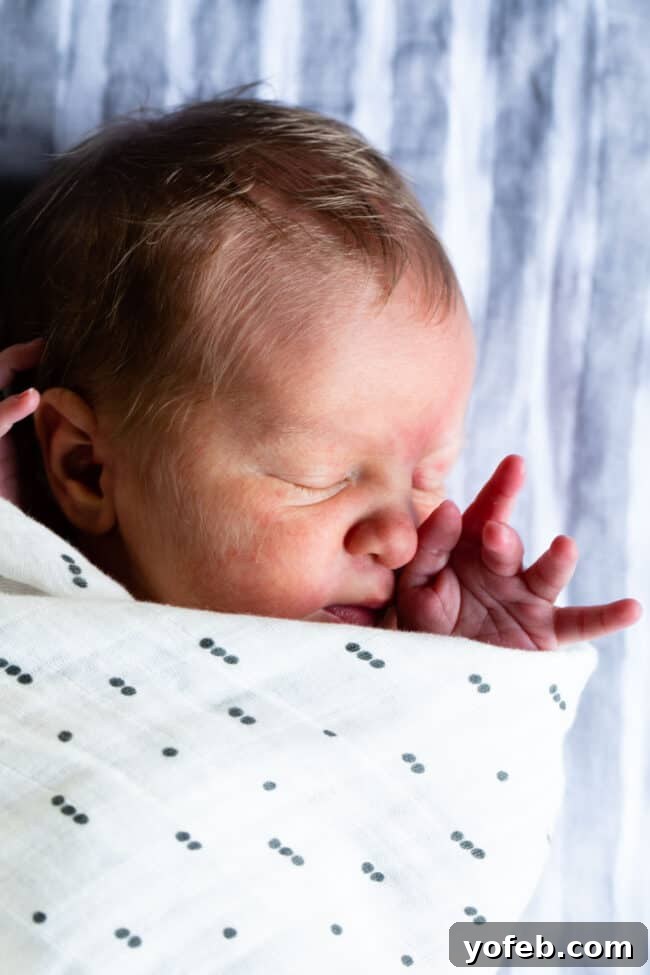 The Food Charlatan's 2019 Recipe Highlights 2 Close-up of baby Edison's head, swaddled warmly.