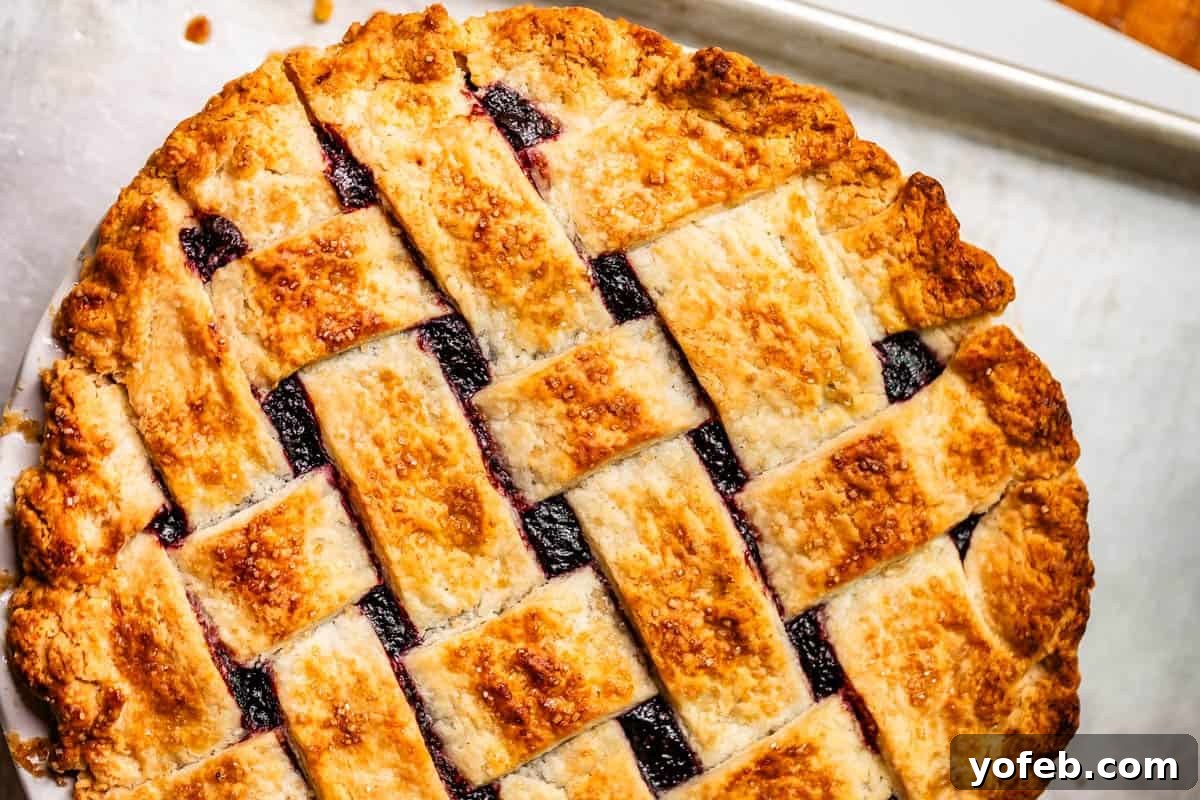 Grandma Georgias Farmhouse Blackberry Bake 22 A freshly baked pie with a golden-brown, sugar-coated lattice crust, revealing dark berry filling underneath, sits on a metal baking sheet.