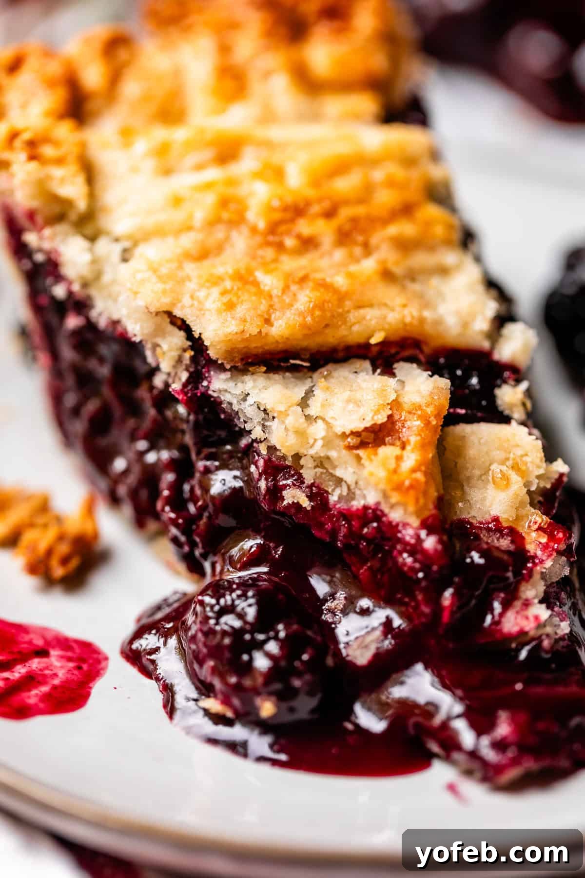Grandma Georgias Farmhouse Blackberry Bake 25 A close-up of a slice of berry pie with a golden, flaky crust and juicy, dark berry filling oozing onto a white plate.