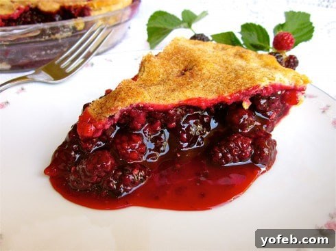 Grandma Georgias Farmhouse Blackberry Bake 26 Blackberry Pie from TheFoodCharlatan.com