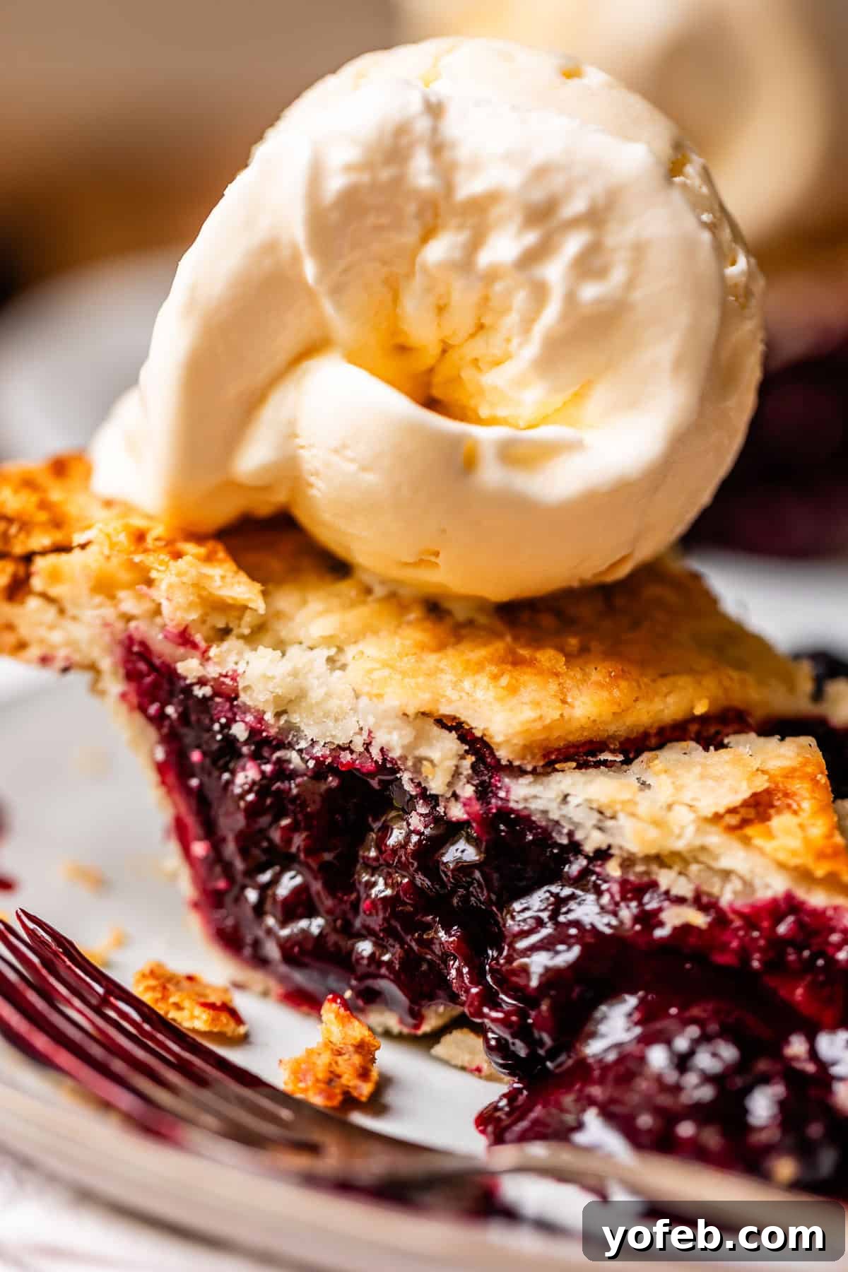 Grandma Georgias Farmhouse Blackberry Bake 28 A close-up of a slice of blackberry pie with a golden, flaky crust, topped with a scoop of vanilla ice cream, on a white plate with a fork beside it.