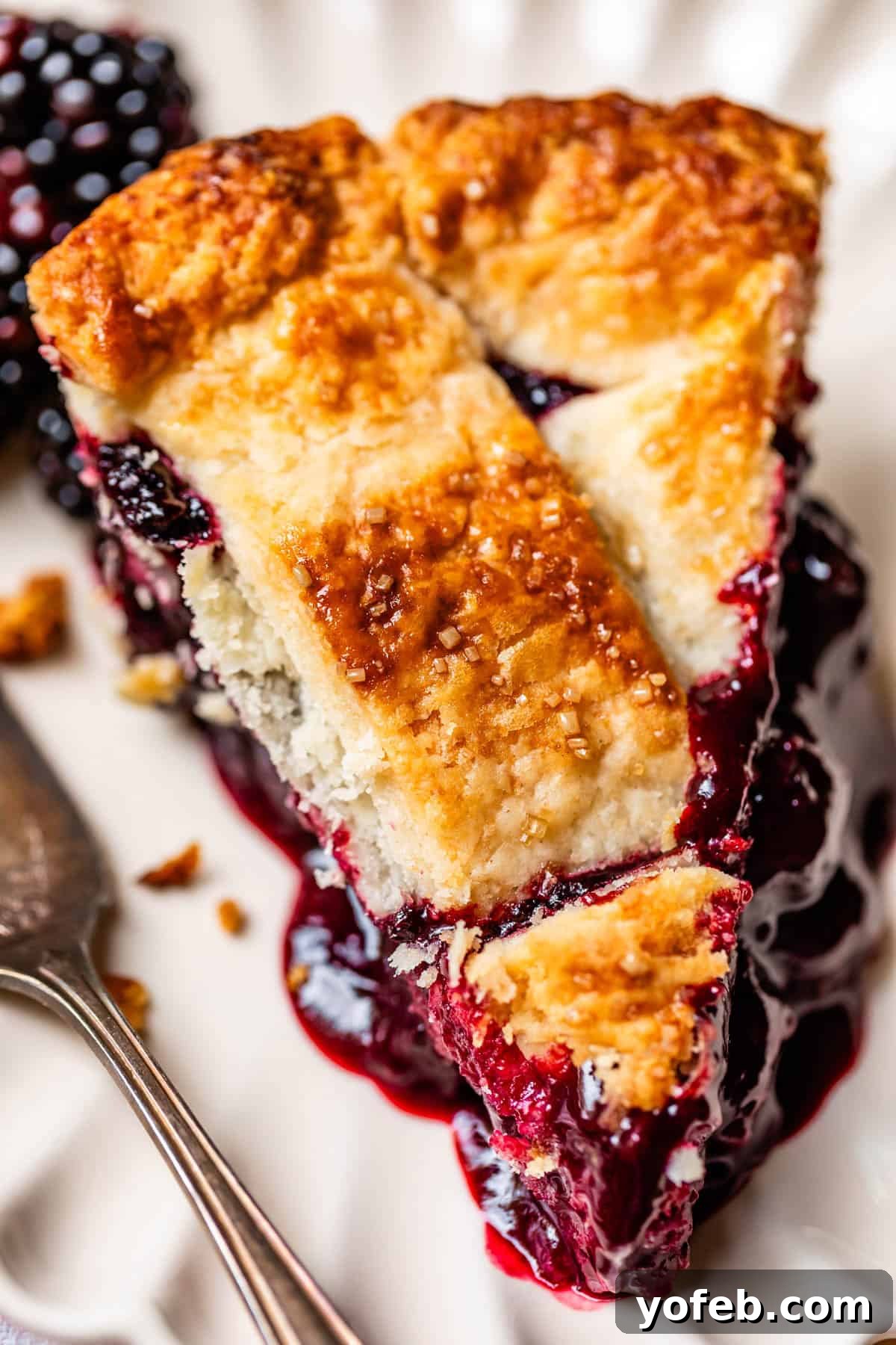Grandma Georgias Farmhouse Blackberry Bake 4 A close-up of a slice of blackberry pie with a golden, flaky crust and juicy, dark purple blackberry filling, served on a white plate with a fork beside it.