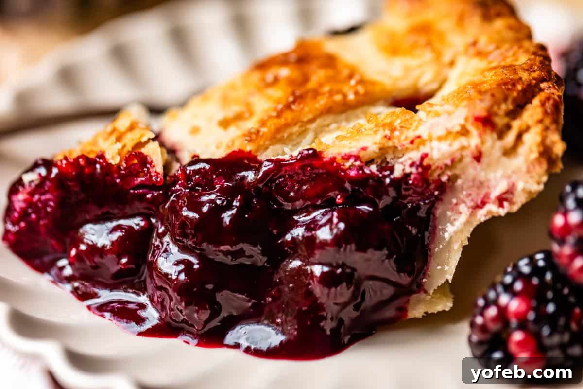 Grandma Georgias Farmhouse Blackberry Bake 6 A close-up of a slice of blackberry pie on a white plate, showing thick, glossy blackberry filling and a golden, flaky crust, with a few fresh blackberries nearby.
