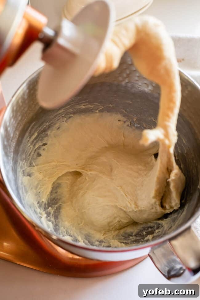 Easy Fluffy One Hour Dinner Rolls from The Food Charlatan. Super easy, fluffy dinner rolls done in ONE hour! And no instant yeast necessary, regular active dry yeast is what I use. These rolls are soft and pillowy and full of buttery flavor! This is my favorite recipe to make for dinner on a weeknight because it is so easy to put together! #rolls #dinnerrolls #easy #recipe #onehour #fromscratch #homemade #quick #1hour #soft #butter #fast #smallbatch #fluffy #yeast #howtomake #stepby_step #simple A dough hook is being lifted from a bowl of sticky, soft bread dough in a stand mixer, showing the texture after kneading.