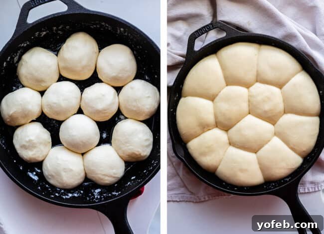 Easy Fluffy One Hour Dinner Rolls from The Food Charlatan. Super easy, fluffy dinner rolls done in ONE hour! And no instant yeast necessary, regular active dry yeast is what I use. These rolls are soft and pillowy and full of buttery flavor! This is my favorite recipe to make for dinner on a weeknight because it is so easy to put together! #rolls #dinnerrolls #easy #recipe #onehour #fromscratch #homemade #quick #1hour #soft #butter #fast #smallbatch #fluffy #yeast #howtomake #stepby_step #simple A side-by-side comparison of dinner rolls in a buttered cast iron pan, showing their size before and after rising.
