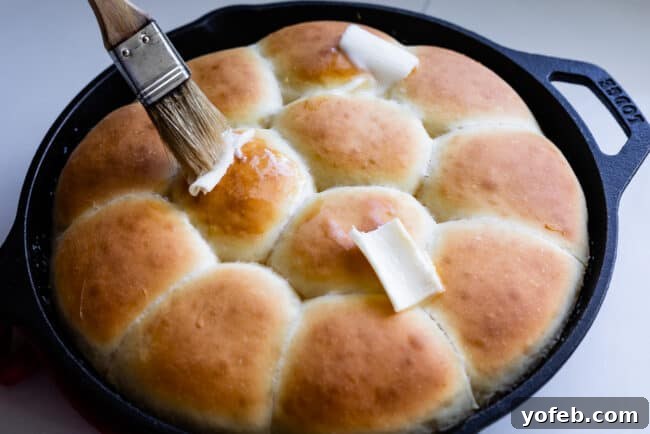 Easy Fluffy One Hour Dinner Rolls from The Food Charlatan. Super easy, fluffy dinner rolls done in ONE hour! And no instant yeast necessary, regular active dry yeast is what I use. These rolls are soft and pillowy and full of buttery flavor! This is my favorite recipe to make for dinner on a weeknight because it is so easy to put together! #rolls #dinnerrolls #easy #recipe #onehour #fromscratch #homemade #quick #1hour #soft #butter #fast #smallbatch #fluffy #yeast #howtomake #stepby_step #simple A pastry brush glides across the tops of freshly baked, golden dinner rolls in a cast iron pan, applying melted butter.