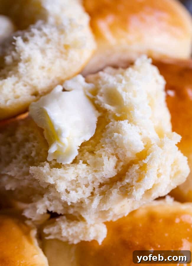 Easy Fluffy One Hour Dinner Rolls from The Food Charlatan. Super easy, fluffy dinner rolls done in ONE hour! And no instant yeast necessary, regular active dry yeast is what I use. These rolls are soft and pillowy and full of buttery flavor! This is my favorite recipe to make for dinner on a weeknight because it is so easy to put together! #rolls #dinnerrolls #easy #recipe #onehour #fromscratch #homemade #quick #1hour #soft #butter #fast #smallbatch #fluffy #yeast #howtomake #stepby_step #simple A pat of melting butter rests on a torn-apart, fluffy dinner roll, with more rolls blurred in the background, showcasing its irresistible tenderness.