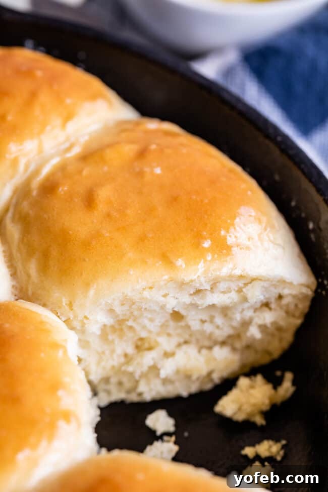 Easy Fluffy One Hour Dinner Rolls from The Food Charlatan. Super easy, fluffy dinner rolls done in ONE hour! And no instant yeast necessary, regular active dry yeast is what I use. These rolls are soft and pillowy and full of buttery flavor! This is my favorite recipe to make for dinner on a weeknight because it is so easy to put together! #rolls #dinnerrolls #easy #recipe #onehour #fromscratch #homemade #quick #1hour #soft #butter #fast #smallbatch #fluffy #yeast #howtomake #stepbystep #simple A close-up shot of several homemade, golden-brown dinner rolls nestled together in a rustic cast iron skillet.