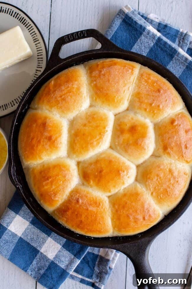 Easy Fluffy One Hour Dinner Rolls from The Food Charlatan. Super easy, fluffy dinner rolls done in ONE hour! And no instant yeast necessary, regular active dry yeast is what I use. These rolls are soft and pillowy and full of buttery flavor! This is my favorite recipe to make for dinner on a weeknight because it is so easy to put together! #rolls #dinnerrolls #easy #recipe #onehour #fromscratch #homemade #quick #1hour #soft #butter #fast #smallbatch #fluffy #yeast #howtomake #stepbystep #simple A warm cast iron skillet filled with beautifully baked, golden brown homemade dinner rolls, ready to be served.