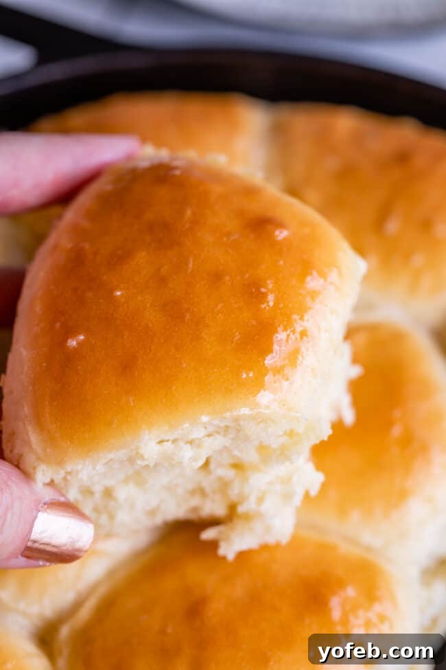 Easy Fluffy One Hour Dinner Rolls from The Food Charlatan. Super easy, fluffy dinner rolls done in ONE hour! And no instant yeast necessary, regular active dry yeast is what I use. These rolls are soft and pillowy and full of buttery flavor! This is my favorite recipe to make for dinner on a weeknight because it is so easy to put together! #rolls #dinnerrolls #easy #recipe #onehour #fromscratch #homemade #quick #1hour #soft #butter #fast #smallbatch #fluffy #yeast #howtomake #stepbystep #simple A close-up view of golden brown, light, and airy homemade fluffy dinner rolls, perfect for any meal.