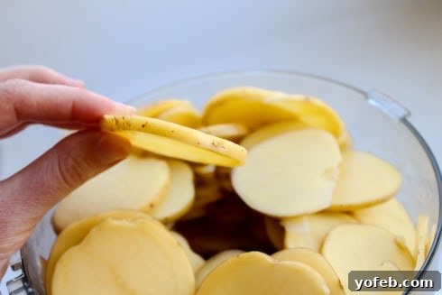 The ideal thinness for potatoes in your sheet pan au gratin recipe Mandoline-sliced potatoes for sheet pan au gratin