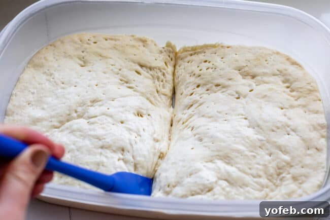 Dividing the perfectly risen pizza dough into two equal halves, ready for preparation.