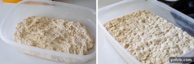 Pizza dough undergoing its rising process within a clear tupperware container.