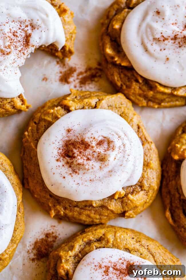 Delicious old-fashioned soft pumpkin cookies, an easy fall dessert with a perfect cakey consistency. Close-up of old-fashioned soft pumpkin cookies, showcasing their inviting, cakey texture