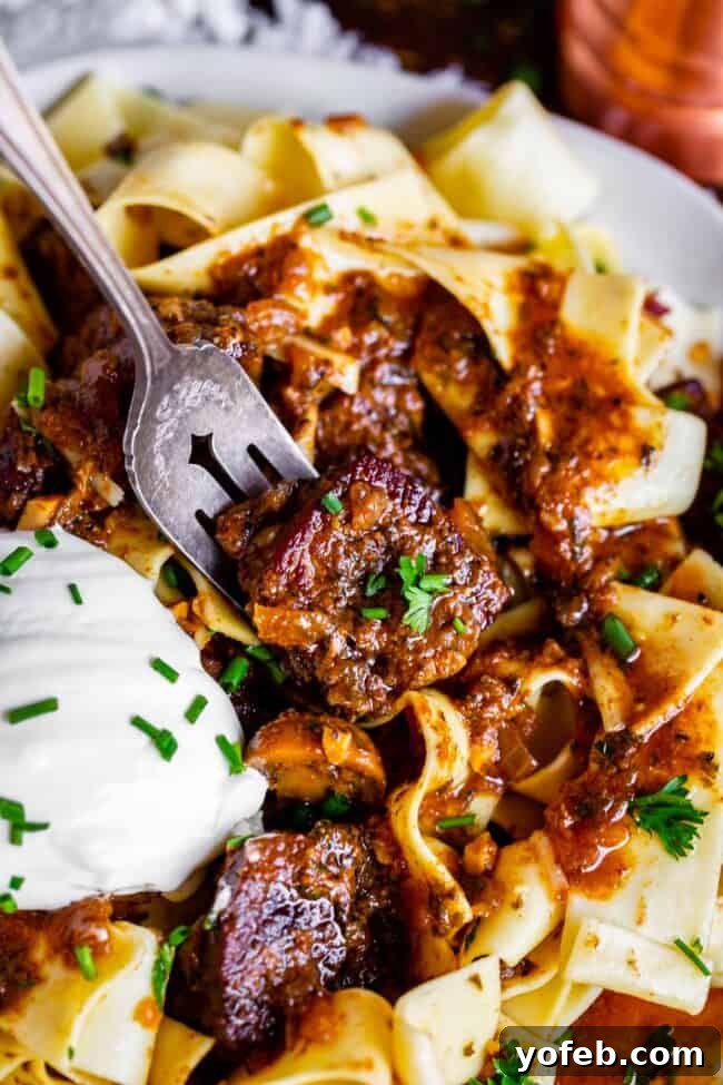 Homestyle Slow Cooker Beef Stroganoff 11 a fork lifting a bite of crock pot beef stroganoff with sour cream and fresh herbs from a plate.