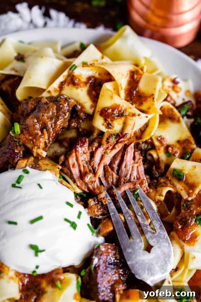 Homestyle Slow Cooker Beef Stroganoff 10 a fork shredding beef from crock pot beef stroganoff with a big dollop of sour cream and fresh chives.