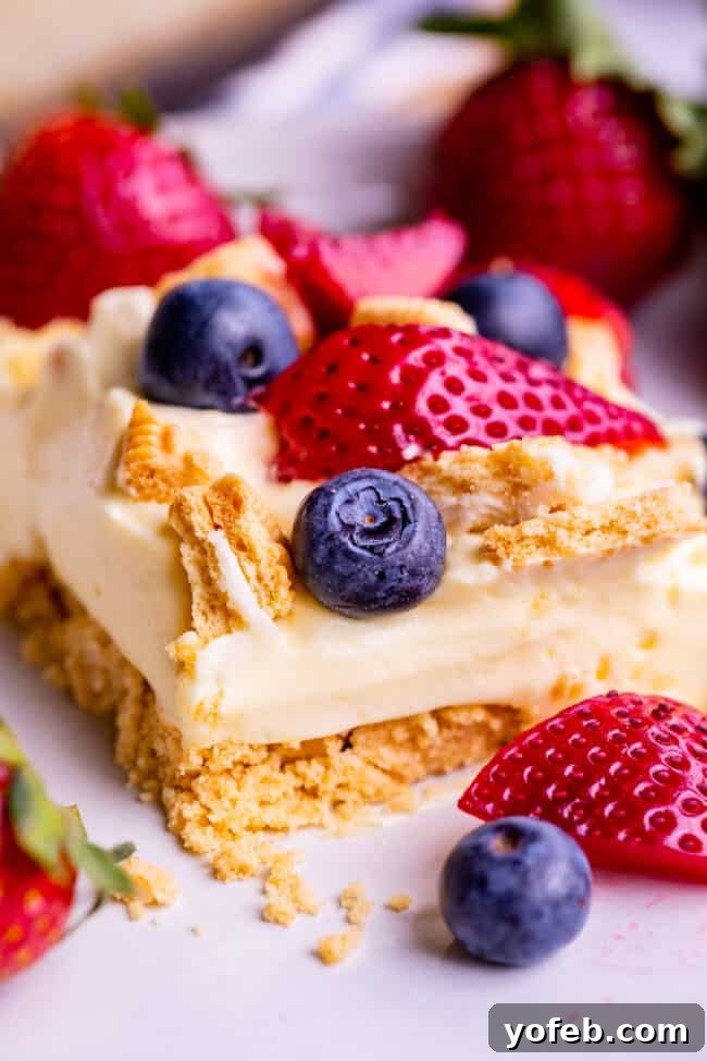 4th of July Layered Pudding Dessert with Golden Oreos from The Food Charlatan. It is a popular dessert for good reasons: it is super easy, it feeds a crowd, it's no bake, and it's so good! I made it with Golden Oreos layered with vanilla pudding, topped with strawberries and blueberries. Such an easy and festive dessert for 4th of July! #easy #recipe #pudding #lush #delight #layered #dessert #torte #strawberries #blueberries #yummy #dreamcake #dirtpudding, #oreo #coolwhip #4thofJuly #patriotic 4th of July Desserts No Bake