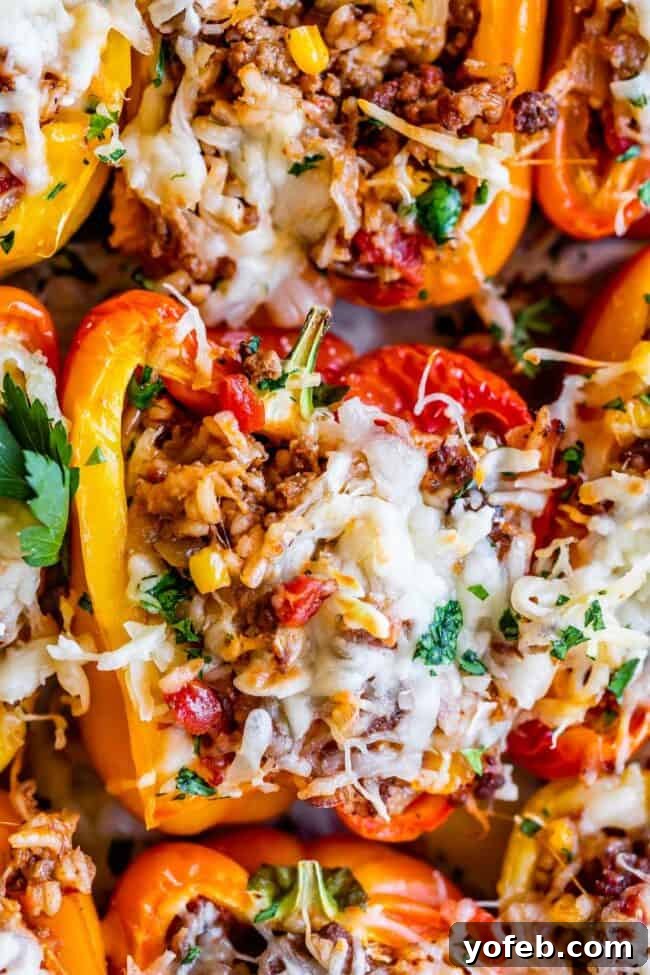 Irresistible Stuffed Bell Peppers 5 Baked stuffed bell peppers topped with beautifully melted, golden-brown cheese.