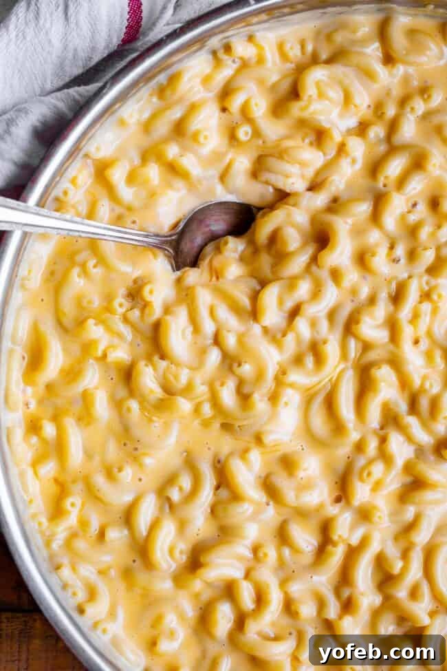 Creamy Homemade Velveeta Mac and Cheese 3 An overhead shot of a large, inviting bowl filled with creamy macaroni and cheese, ready to be served with a spoon resting beside it.